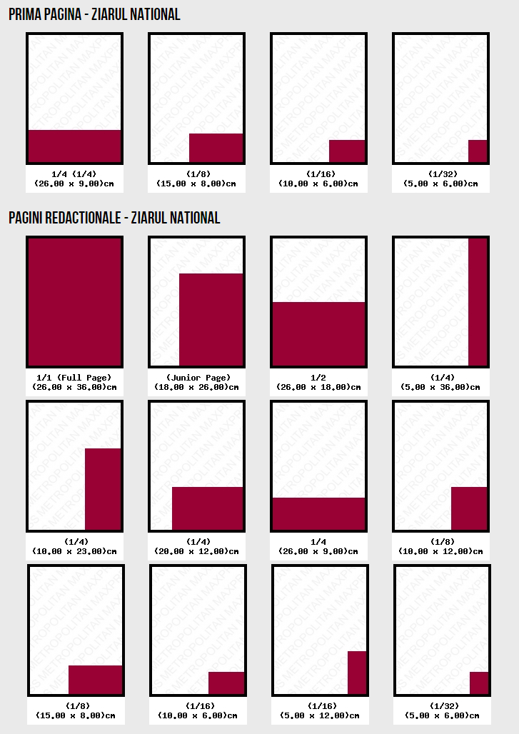 Ziarul National Layouts