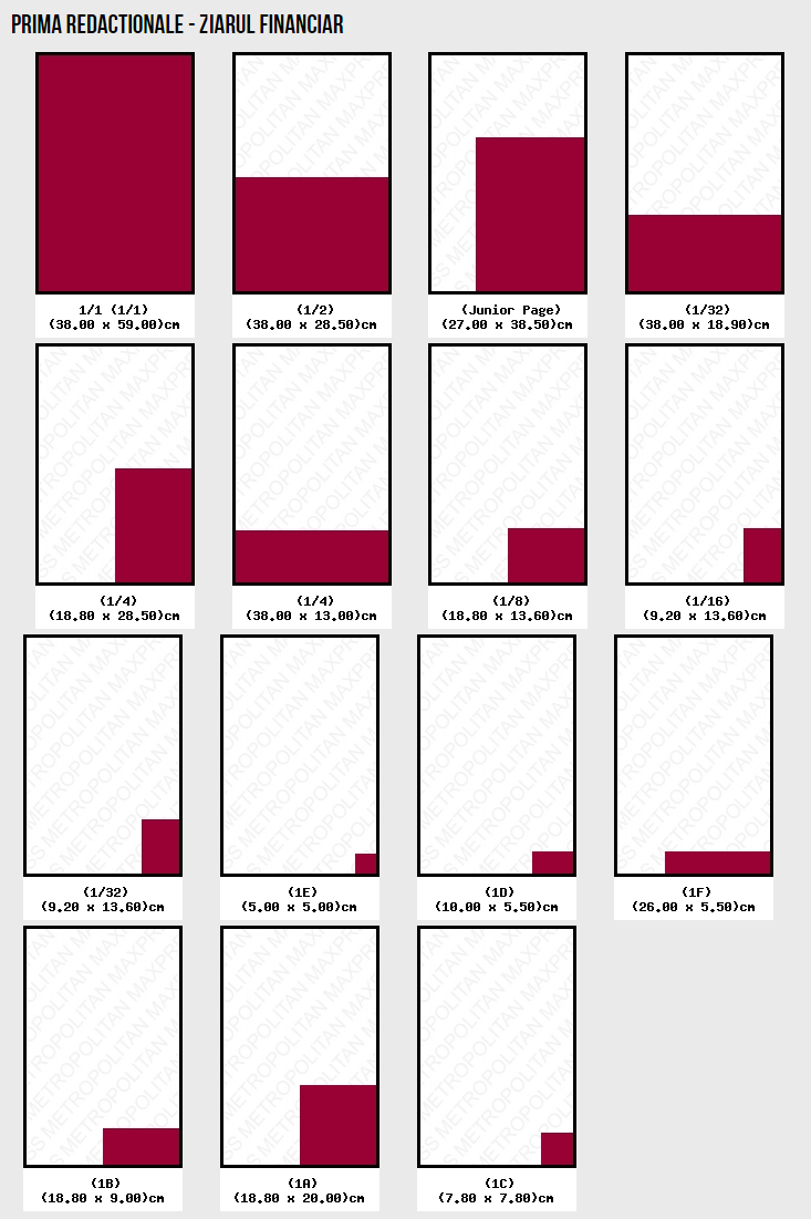 Ziarul Ziarul Financiar Layouts